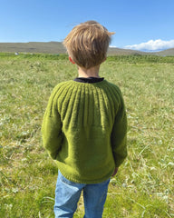 Dreng med grøn Haralds Sweater